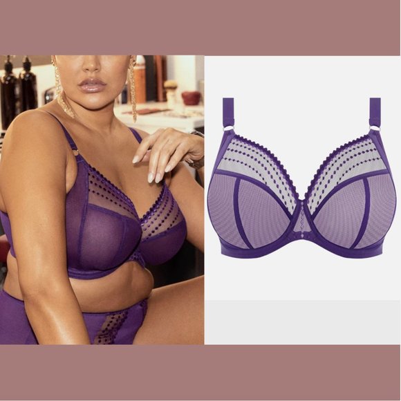 NWT$70 Elomi [ 42DDD ] Matilda Full Figure Underwire Plunge Bra Iris Purple 6218 - Picture 2 of 9